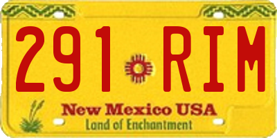 NM license plate 291RIM