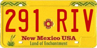 NM license plate 291RIV