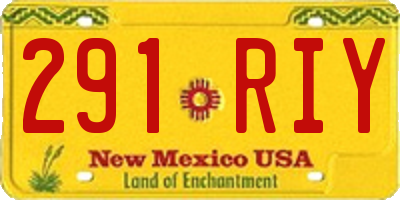 NM license plate 291RIY
