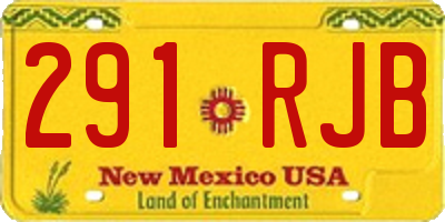 NM license plate 291RJB