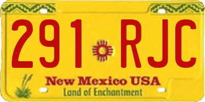 NM license plate 291RJC