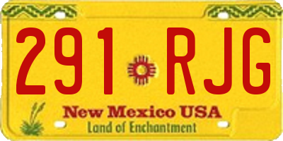 NM license plate 291RJG