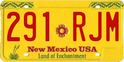 NM license plate 291RJM