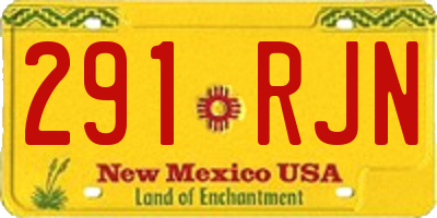 NM license plate 291RJN