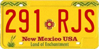 NM license plate 291RJS