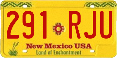 NM license plate 291RJU