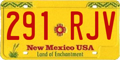 NM license plate 291RJV