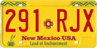 NM license plate 291RJX
