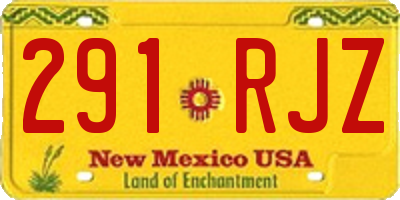NM license plate 291RJZ