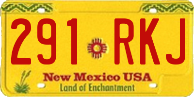 NM license plate 291RKJ