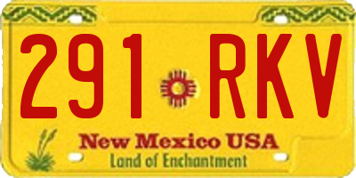 NM license plate 291RKV