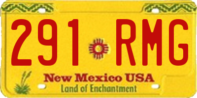 NM license plate 291RMG