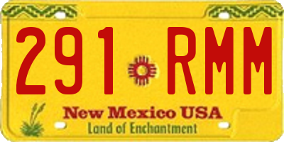 NM license plate 291RMM