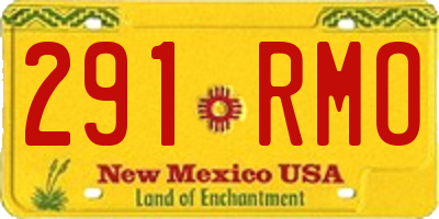 NM license plate 291RMO