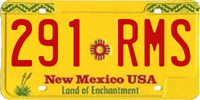 NM license plate 291RMS
