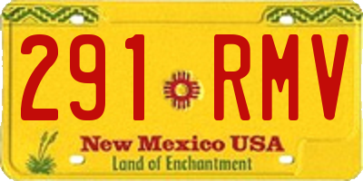 NM license plate 291RMV
