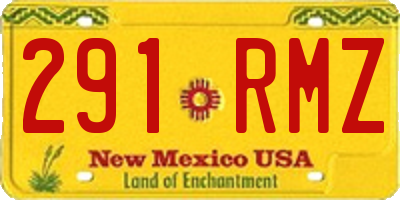 NM license plate 291RMZ