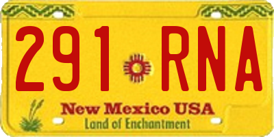 NM license plate 291RNA