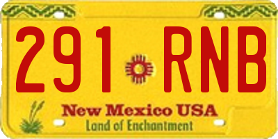 NM license plate 291RNB