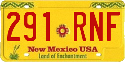 NM license plate 291RNF
