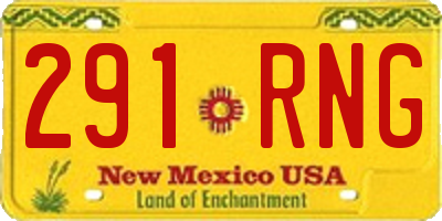 NM license plate 291RNG