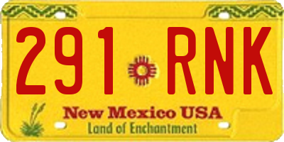 NM license plate 291RNK