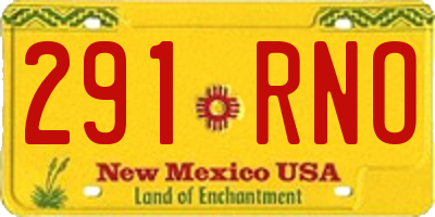 NM license plate 291RNO