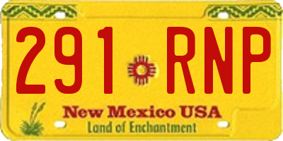NM license plate 291RNP