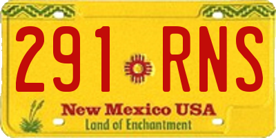 NM license plate 291RNS