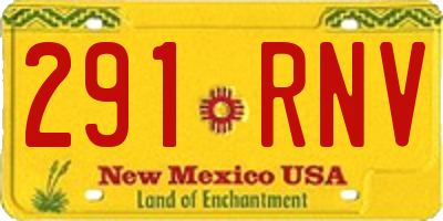 NM license plate 291RNV