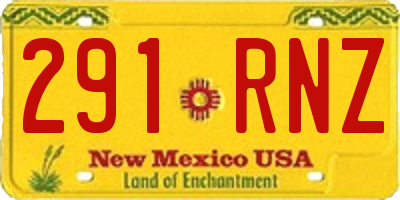 NM license plate 291RNZ