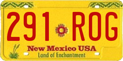 NM license plate 291ROG