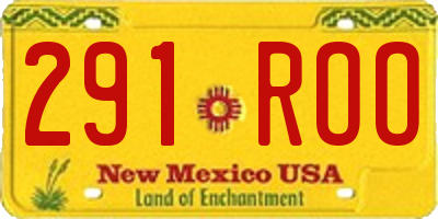 NM license plate 291ROO