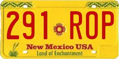 NM license plate 291ROP