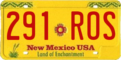 NM license plate 291ROS