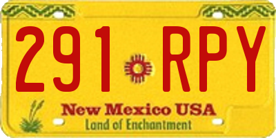 NM license plate 291RPY