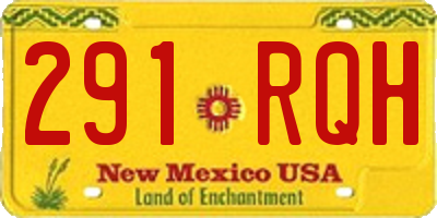 NM license plate 291RQH