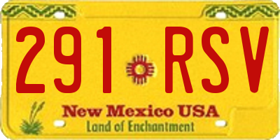 NM license plate 291RSV
