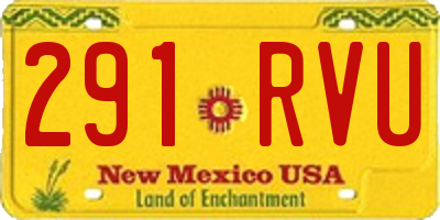 NM license plate 291RVU