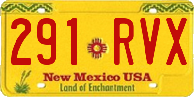 NM license plate 291RVX