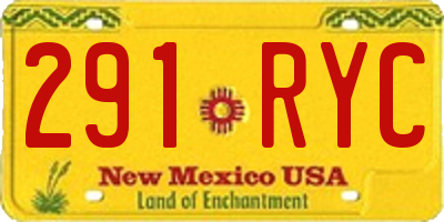 NM license plate 291RYC