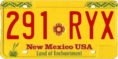NM license plate 291RYX