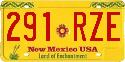 NM license plate 291RZE