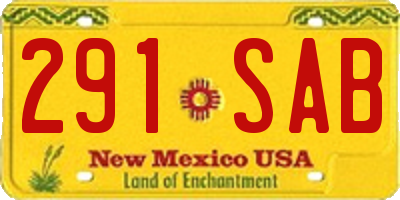 NM license plate 291SAB