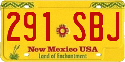 NM license plate 291SBJ