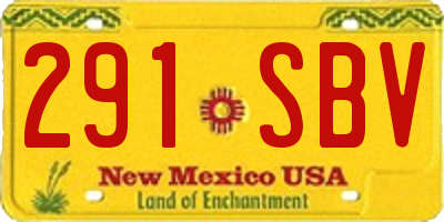 NM license plate 291SBV