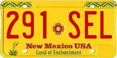 NM license plate 291SEL
