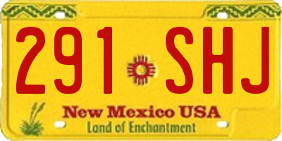 NM license plate 291SHJ