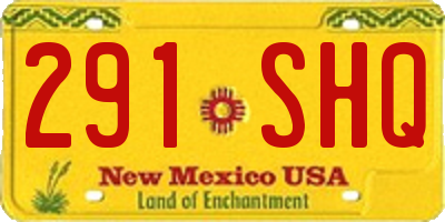 NM license plate 291SHQ