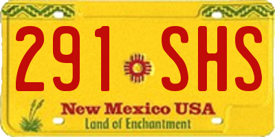 NM license plate 291SHS